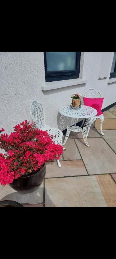 Knockrobin Cottage Уиклоу Екстериор снимка